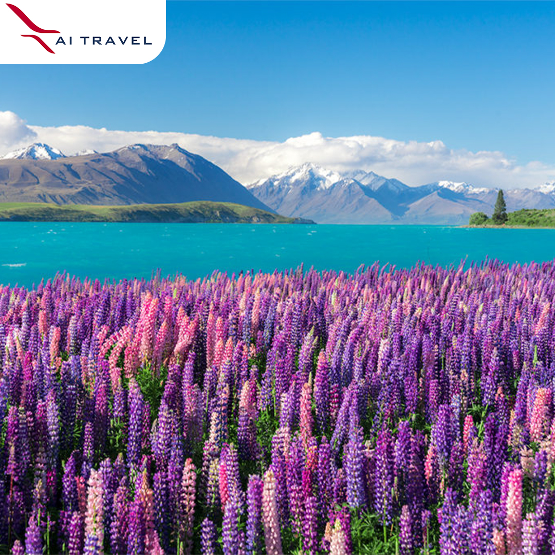 New Zealand